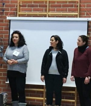 11o-dimotiko-finlandia