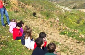 Eco-Γέφυρες: Περιβαλλοντικό πρόγραμμα για μαθητές (video)