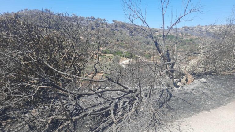 Λαϊκή Συσπείρωση: Καλεί τον Προέδρο του Δημοτικού Συμβουλίου να προετοιμάσει μονοθεματική συνεδρίαση για τη φωτιά