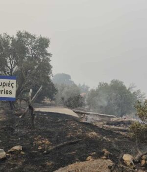 527984065-24861027663505573-3618485548293733549-n-1024x578