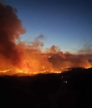 529493685-1100854574827645-7602637823400771408-n-1-1024x577