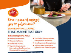 Νέες ειδικότητες στην ΕΠΑΣ Χίου! Σπουδάζεις!! Ασφαλίζεσαι!! Πληρώνεσαι!! Συνεχίζονται οι αιτήσεις έως την Κυριακή 6 Σεπτεμβρίου!!