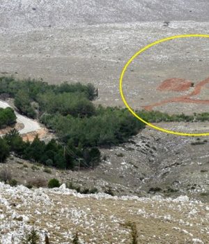 Aipos_17o_ideogramma_28Feb20