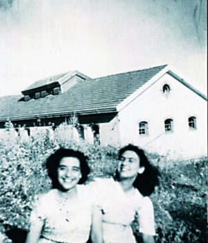 Alki_Zeh_Chios_exoristes2