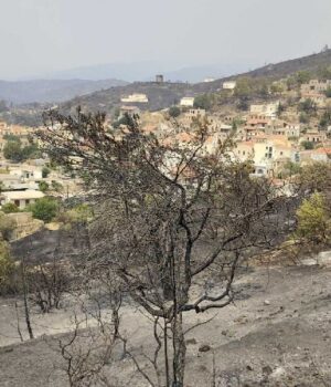 Amani_fwtia_Volissos_13Ag25