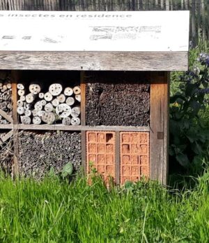 Belavilas_Paris_entoma_parko_6Apr22