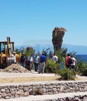 Chios_Daskalopetra_basketa-1