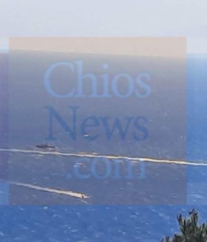 Chios_Gridia_Nenita_epixeirisi_diaswsis_26Okt21