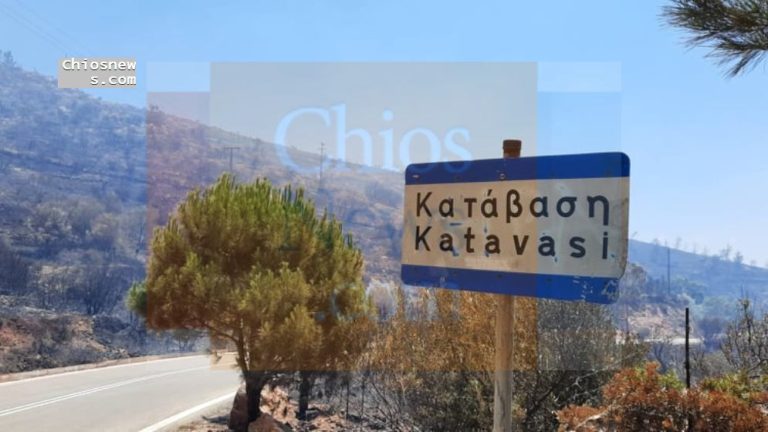 1.100 στρέμματα καμένης γης – δυναμική επέμβαση πυροσβεστικών δυνάμεων