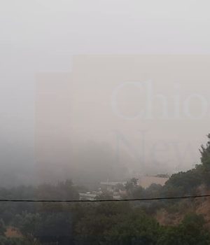 Chios_Kofinas_omixli_18Jul21