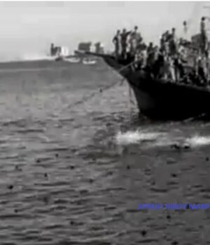 Chios_Makridis_arxeio_komvitikoi_26Sep1954