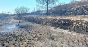 Μεστά: Τι έκαψε η φωτιά