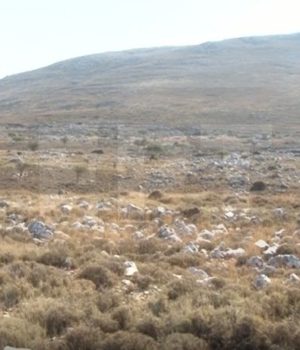 Chios_Pitios_perioxh_PROKEKA_19Nov19