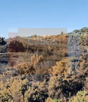 Chios_Resta_kamena_akafta_8Jun24