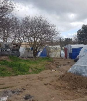 Chios_VIAL_skines_2Jan20