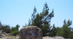 «Διαβάζουμε Όμηρο» στη Δασκαλόπετρα, αιτήσεις συμμετοχής