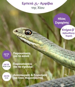 Chios_erpeta_afisa_22Okt18