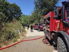 Πυροσβεστική Υπηρεσία: Αμεση επέμβαση σε φωτιά στην Καρδαμάδα