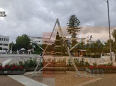 Αφή Χριστουγεννιάτικου Δέντρου- συν. τύπου (video)