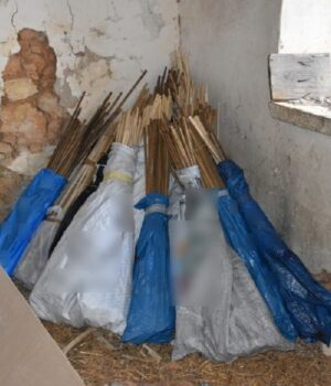 Chios_rouketes_katasxessi_5Apr23-1024x683