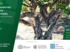 «Καλλιεργώντας το μέλλον της μαστίχας», εκδήλωση με νέους μαστιχοπαραγωγούς, 7/11