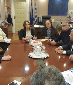 FPA_epitropi_yfyp_Papanatsiou_21Nov17