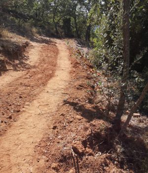 Fakas_monopati3_bulntoza_Frezoulis_25May20