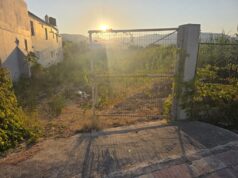 Φάρκαινα: Εσβησε άμεσα η φωτιά