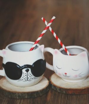 Flitzania_kafe_2-Manganari