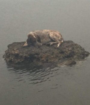 Forecast Weather Greece 6