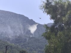 Χίος: Κινητοποίηση για φωτιά στην περιοχή Βίκι