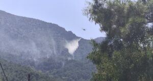 Χίος: Κινητοποίηση για φωτιά στην περιοχή Βίκι