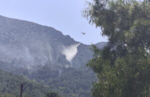 Χίος: Κινητοποίηση για φωτιά στην περιοχή Βίκι