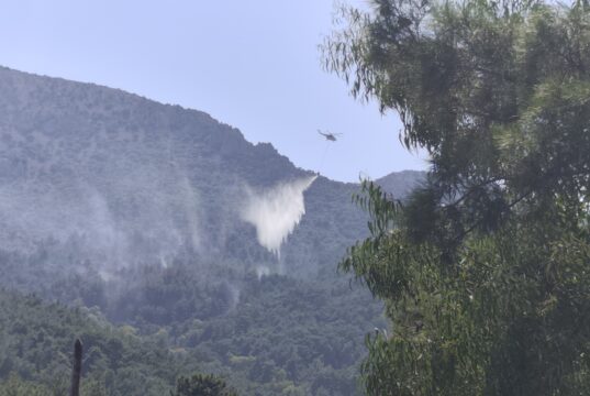 Χίος: Κινητοποίηση για φωτιά στην περιοχή Βίκι