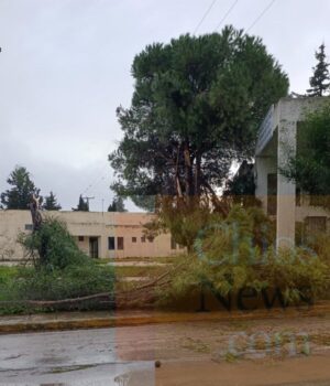 KTEO_kladia_pesmena_26Jan26