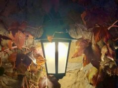 «Όνειρο χειμωνιάτικης νύχτας», γράφει η Σοφία Καρασούλη