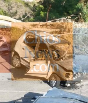 Kardamila_1_fwtia_1412131548_n