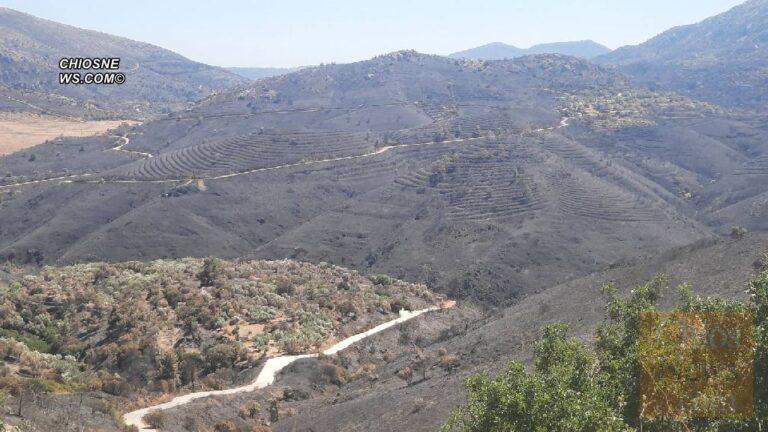 Λαϊκή Συσπείρωση: Πρόταση στο Δημοτικό Συμβούλιο για τις φωτιές στο νησί