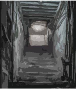 LE2_Matrwna_Act_Now_austria_30Jan18