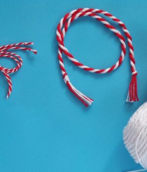 Marths_vraxiolaki_Mussio_Mastixas_27Feb26