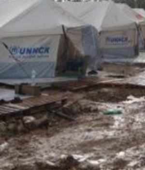 Moria_skines_roditis