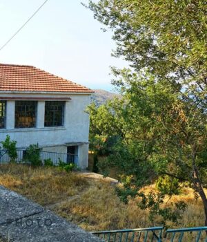 Nenitouria_sxoleio_exw_Gaila_11Sep22