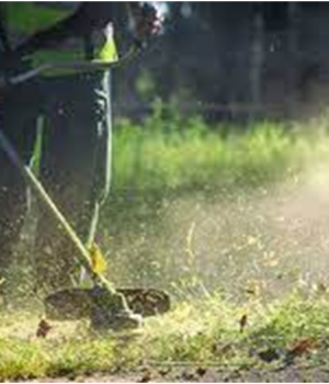 OMIKRON_oikopedo_katharisma_6Apr23