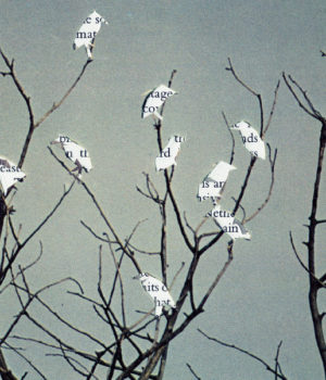 Opera_mastihas_afisa_27JUl18