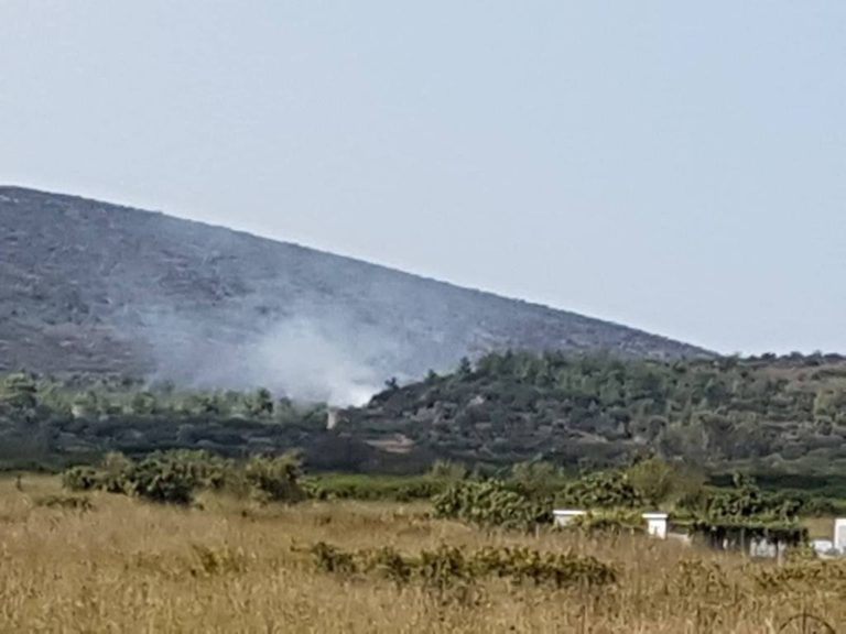 Πυρκαγιά στην περιοχή του Πυργίου στα μαστιχοχώρια- έσβησε άμεσα!