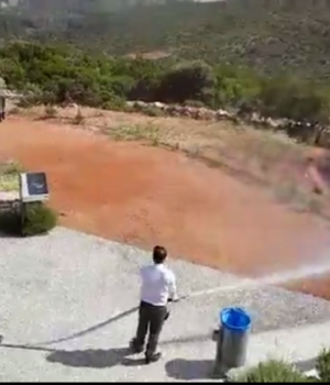 Pirosvesi_askisi_mussio_Mastihas_2017-05-07 (3)