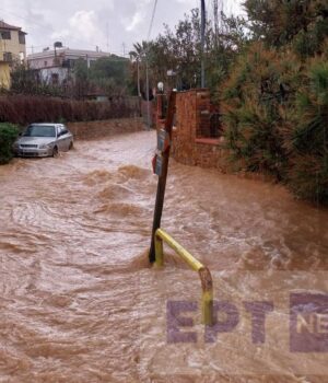 Plimmira5_13Feb24_InPixio