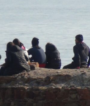 Prosfiges_vraxakia_2016