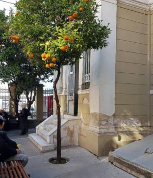 Prwtodikeio_epidomata_tiflotitas