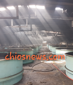 Resize Image_611e3bbd-a8e7-4b28-915d-16361b9804e6